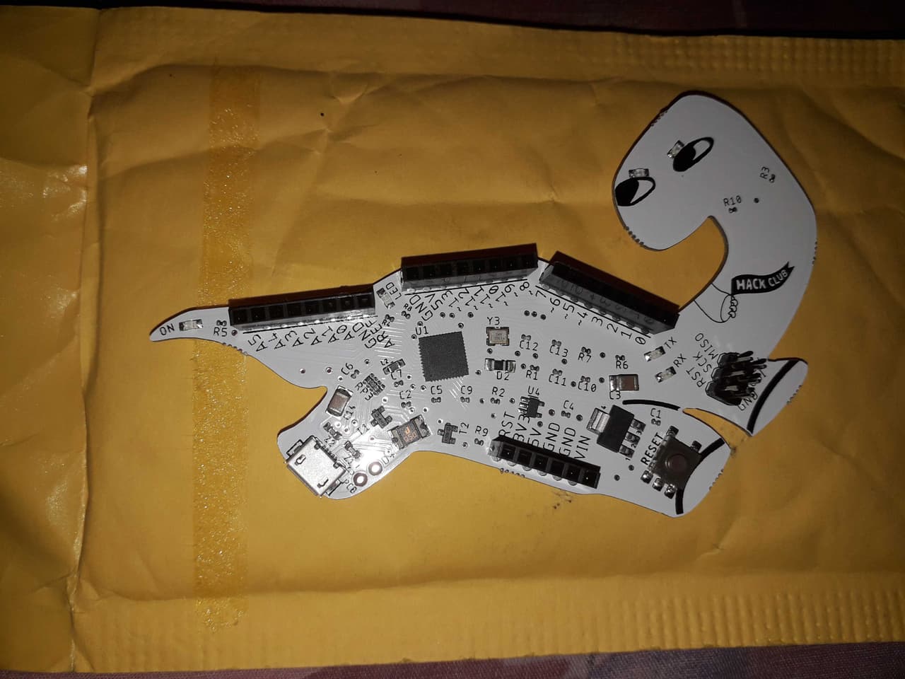 https://cloud-65kumufjv-hack-club-bot.vercel.app/020210705_121032.jpg