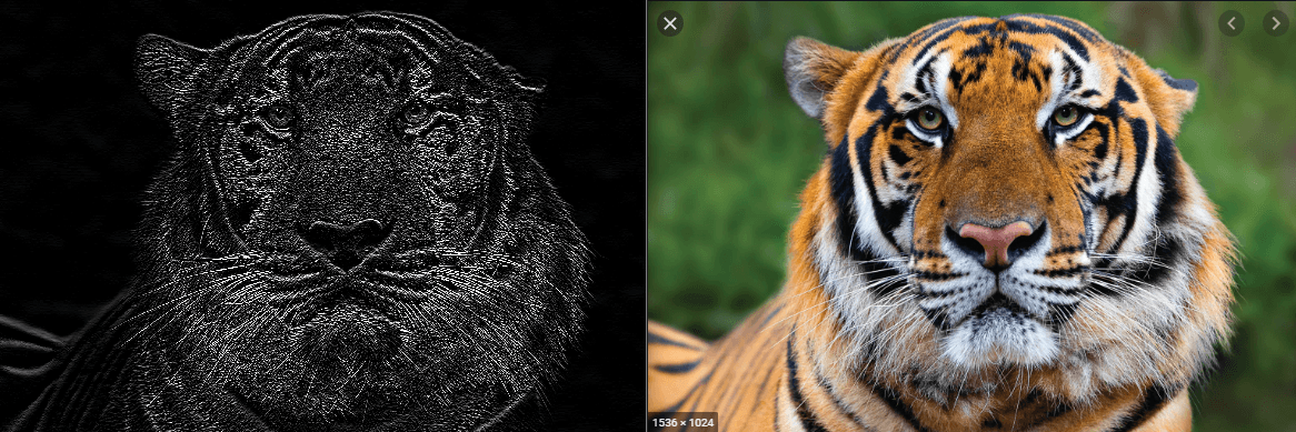 https://cloud-em8c7jvip.vercel.app/0tiger.png