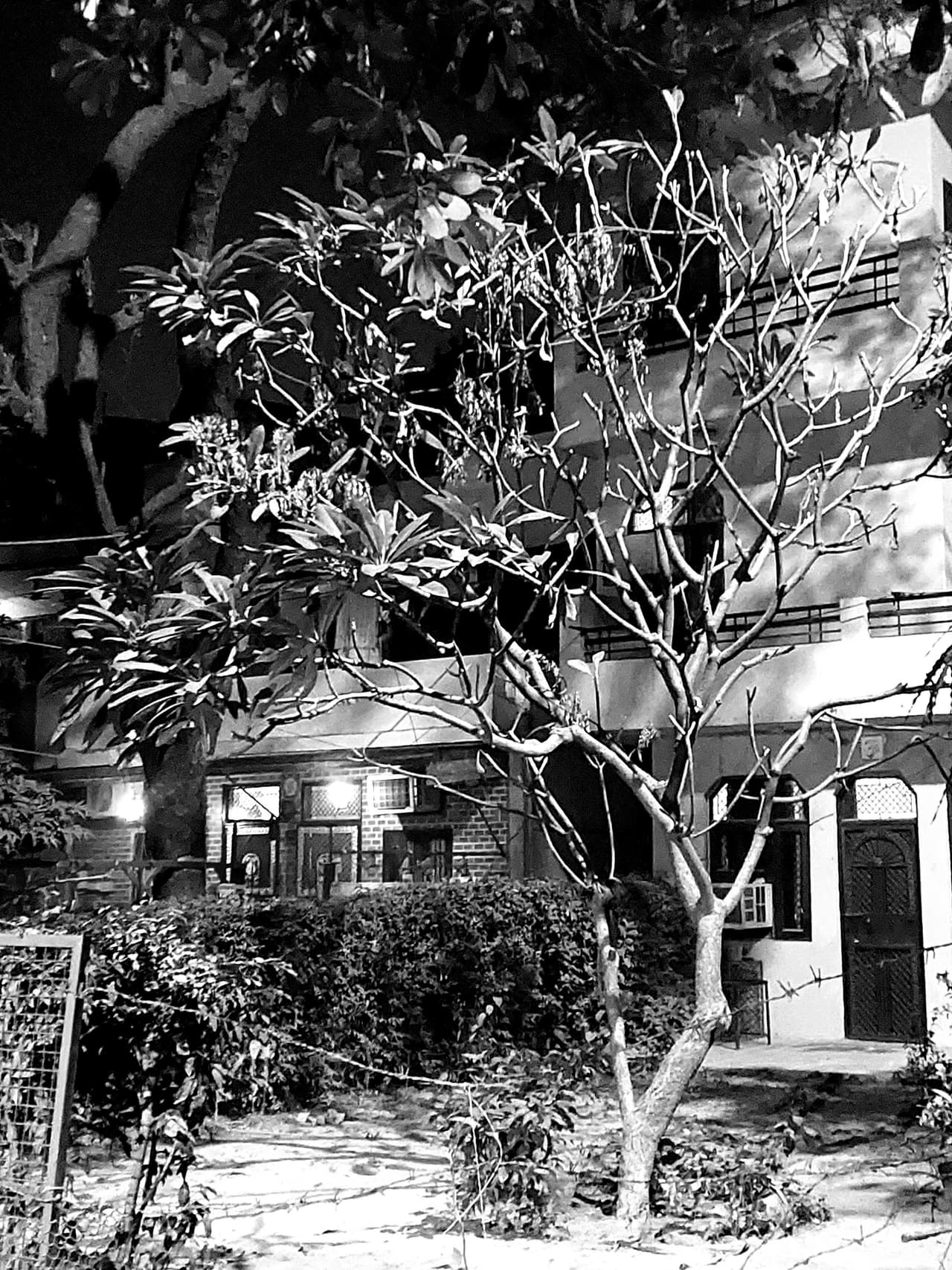 https://cloud-fej5vryun-hack-club-bot.vercel.app/020221227_182034.jpg