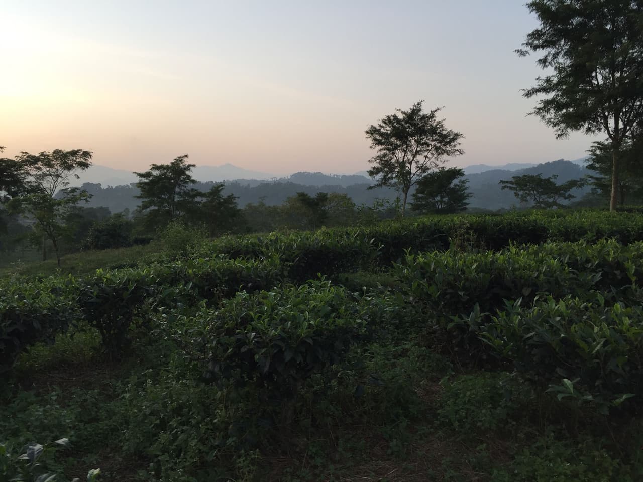 https://cloud-ph4vyhzqd.vercel.app/0image_from_ios.jpg