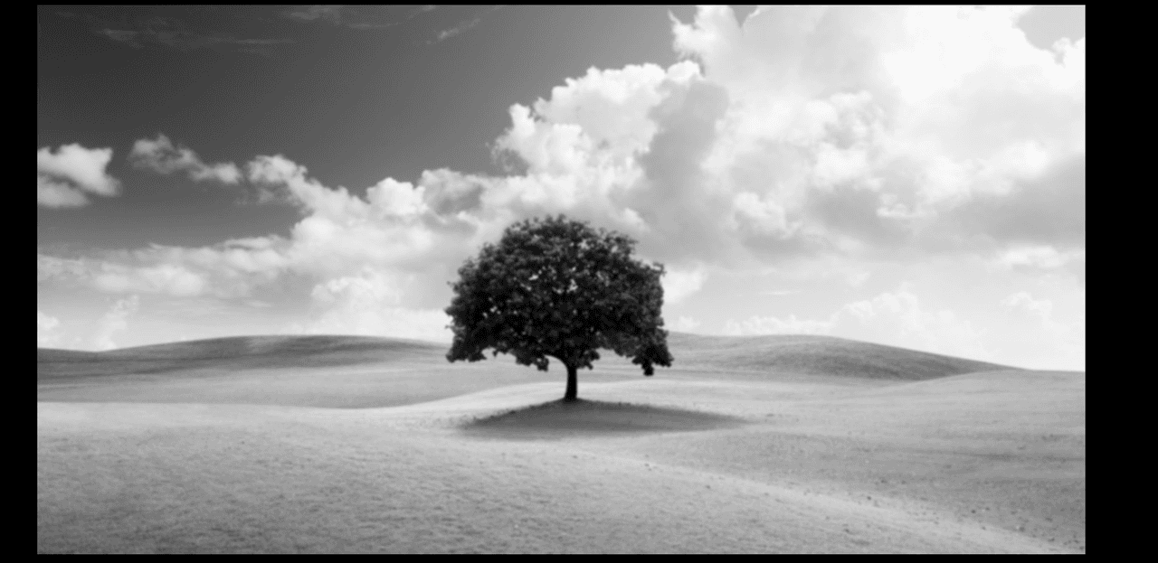 https://scrapbook-into-the-redwoods.s3.amazonaws.com/eead4355-4888-4c20-9436-a66f5dc61070-image.png