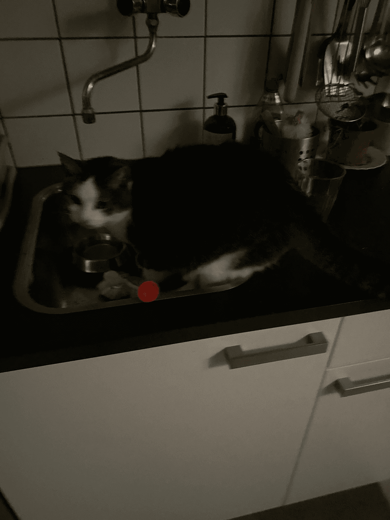 https://scrapbook-into-the-redwoods.s3.us-east-1.amazonaws.com/e26032ca-7799-4e07-b2b0-f99282aa22a6-image.png https://scrapbook-into-the-redwoods.s3.us-east-1.amazonaws.com/e26032ca-7799-4e07-b2b0-f99282aa22a6-image.png